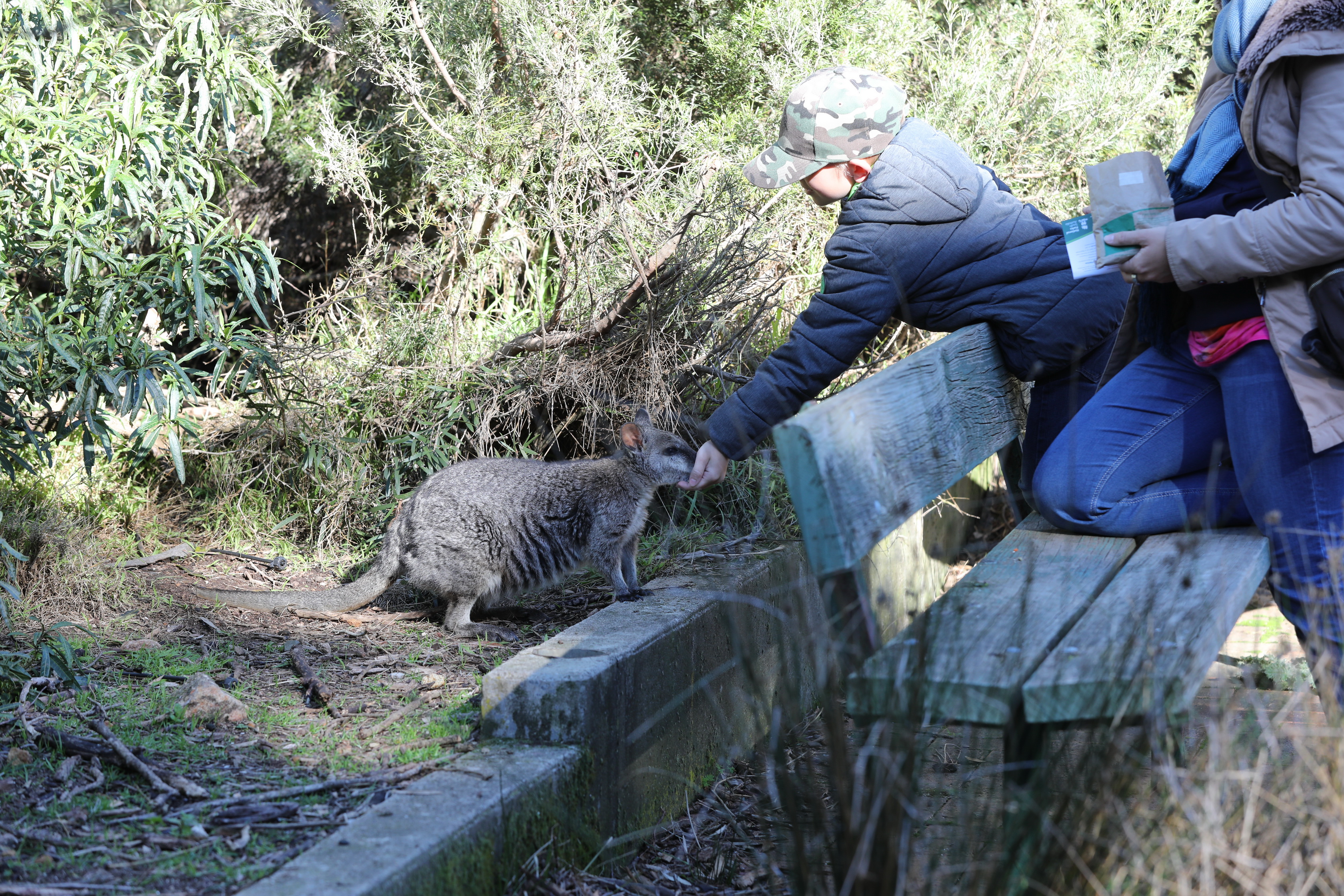 2019 07 19 14 27 29 Canon EOS 5D Mark IV 0027